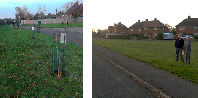 pictures of tree planting in Beenham