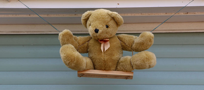 Picture of teddy bear
