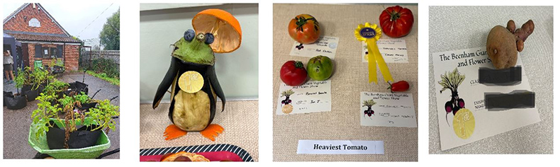 Pictures of veg